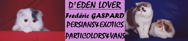 D'Eden Lover Cattery