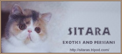 Sitara banner