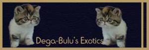 Dega-Bulu's Exotics